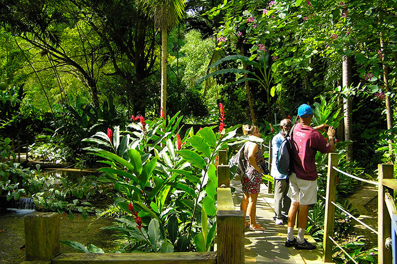 Konoko Falls + Ocho Rios Highlights