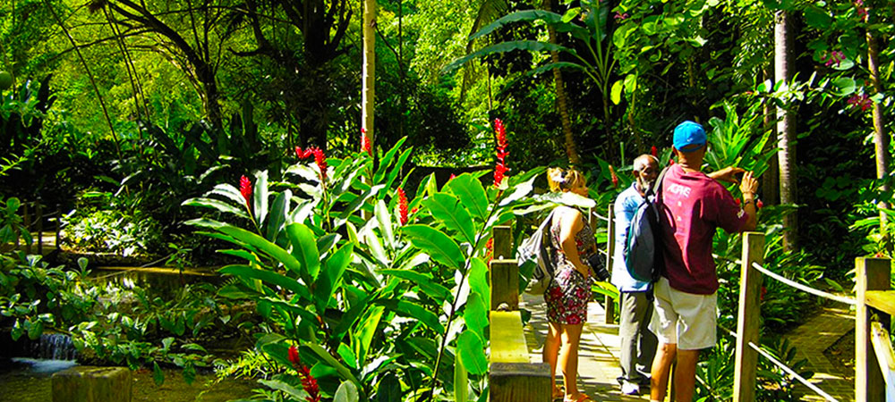 Konoko Falls + Ocho Rios Highlights